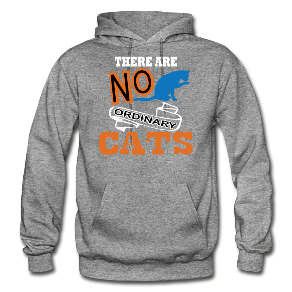 There Are No Ordinary Cats - Gildan Heavy Blend Adult Hoodie - graphite heather