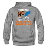 There Are No Ordinary Cats - Gildan Heavy Blend Adult Hoodie - graphite heather