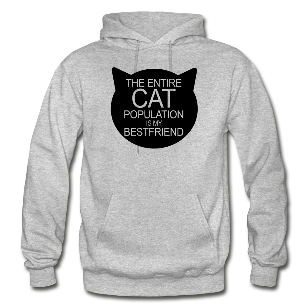 Cats - My Best Friends - Black - Gildan Heavy Blend Adult Hoodie - heather gray