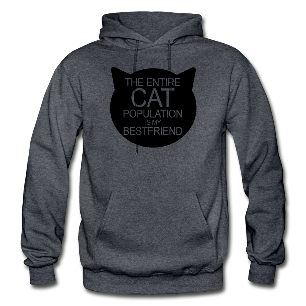 Cats - My Best Friends - Black - Gildan Heavy Blend Adult Hoodie - charcoal gray