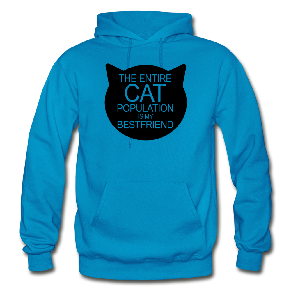 Cats - My Best Friends - Black - Gildan Heavy Blend Adult Hoodie - turquoise