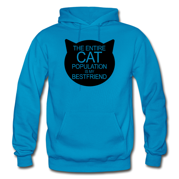 Cats - My Best Friends - Black - Gildan Heavy Blend Adult Hoodie - turquoise