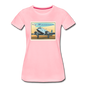 Fly Wisconsin - DC3 - Women’s Premium T-Shirt - pink